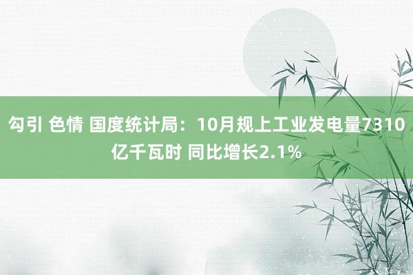 勾引 色情 国度统计局:10月规上工业发电量7310亿千瓦时 同比增长2.1%