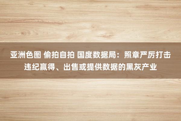 亚洲色图 偷拍自拍 国度数据局：照章严厉打击违纪赢得、出售或提供数据的黑灰产业