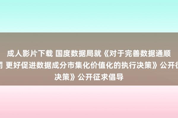 成人影片下载 国度数据局就《对于完善数据通顺安全处罚 更好促进数据成分市集化价值化的执行决策》公开征求倡导